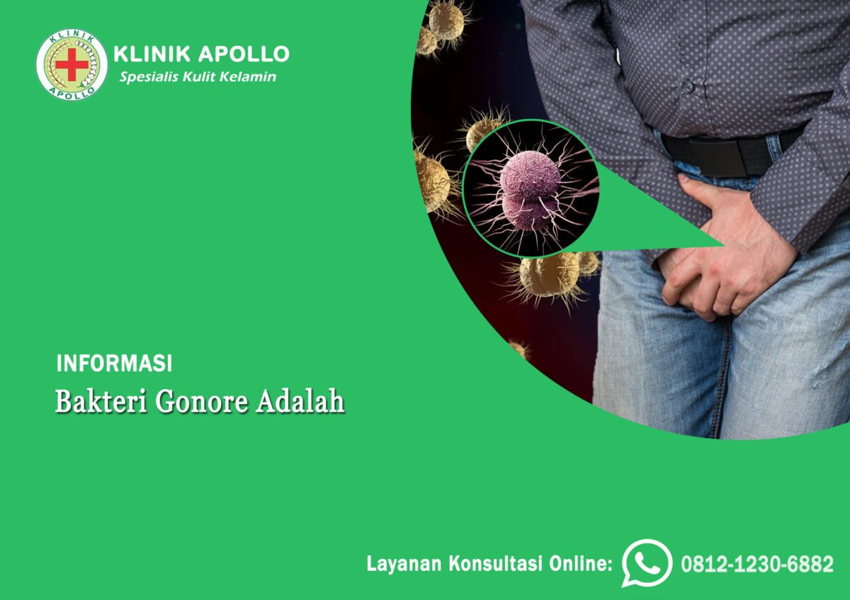 Bakteri Gonore Adalah Penyebab Infeksi Menular Seksual Klinik Apollo