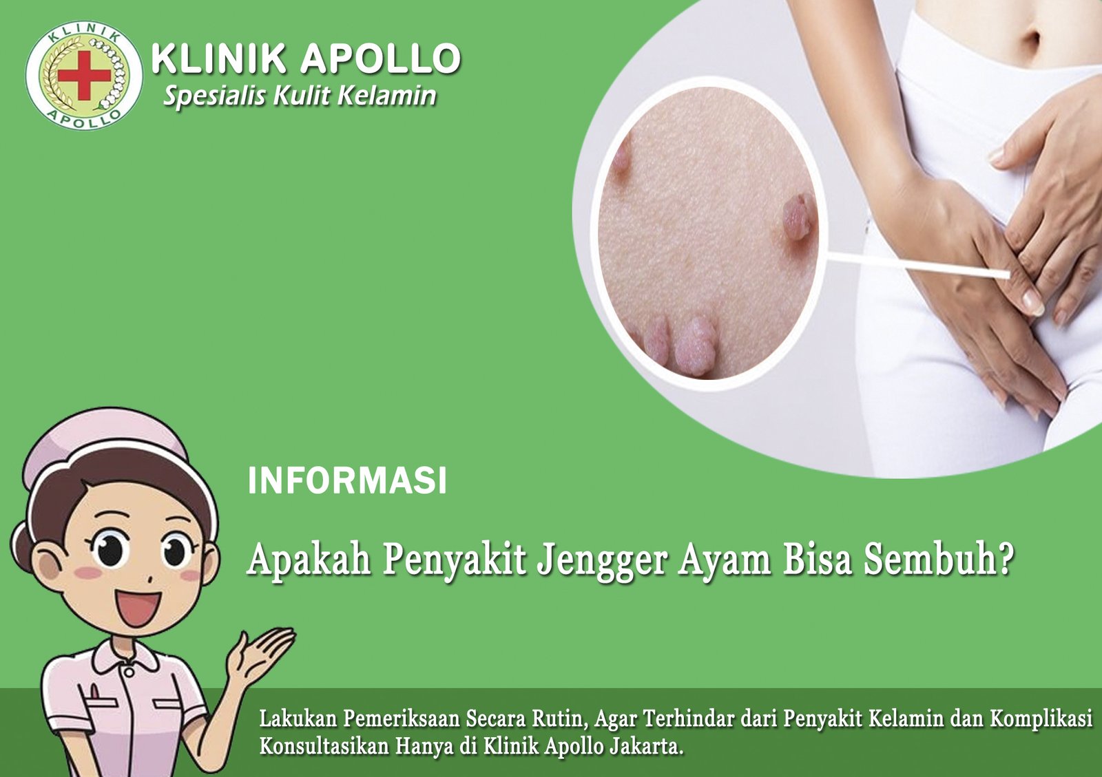 Ilustrasi Penyakit Jengger Ayam Bisa Sembuh