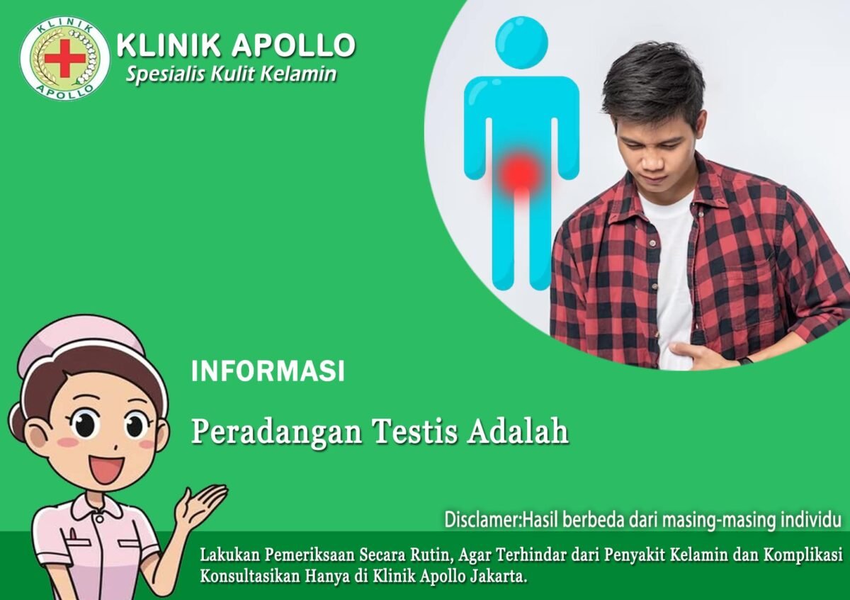 Peradangan Testis Adalah Infeksi Benarkah Demikian Klinik Apollo