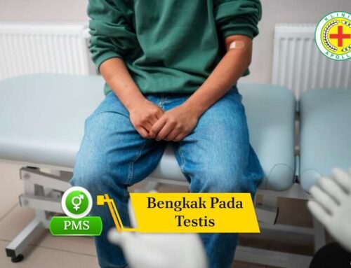 Bengkak pada Testis: Penyebab, Gejala & Kapan Harus ke Dokter