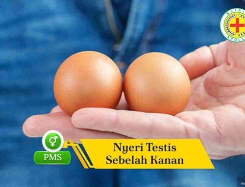 Nyeri Testis Sebelah Kanan Sampai Pinggang, Apa Penyebabnya
