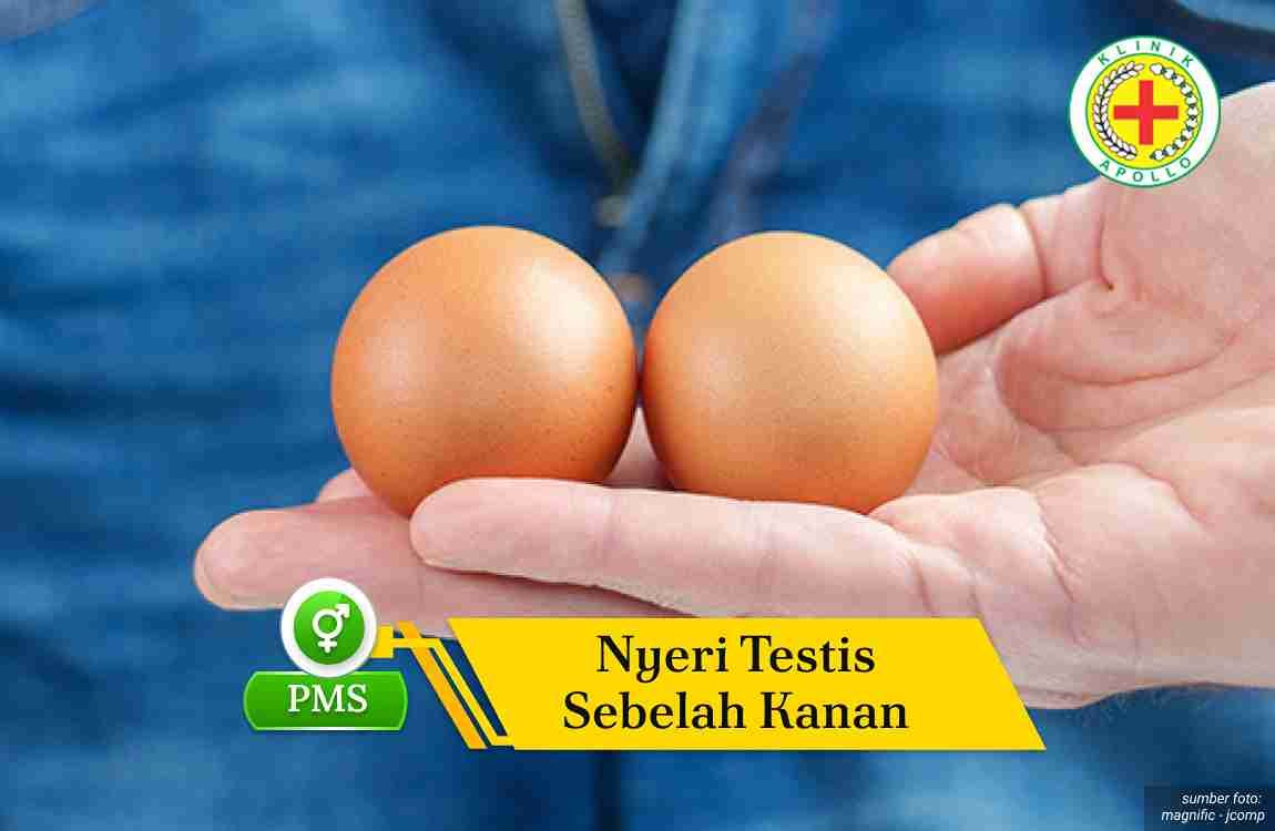 Nyeri Testis Sebelah Kanan Sampai Pinggang Ilustrasi Nyeri Testis Sebelah Kanan Sampai Pinggang.