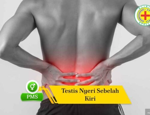 Testis Nyeri Sebelah Kiri: Penyebab dan Kapan Harus Waspada