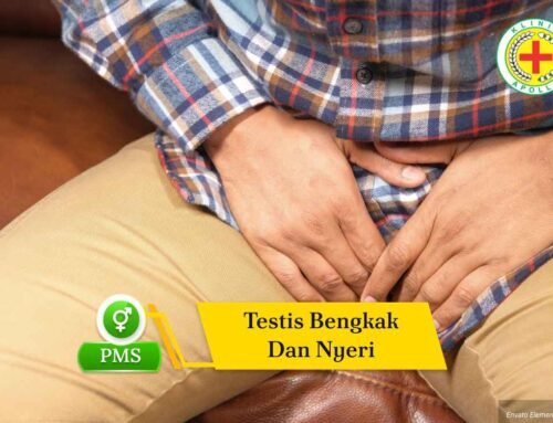 Testis Bengkak dan Nyeri: Kenali Penyebab dan Penanganannya