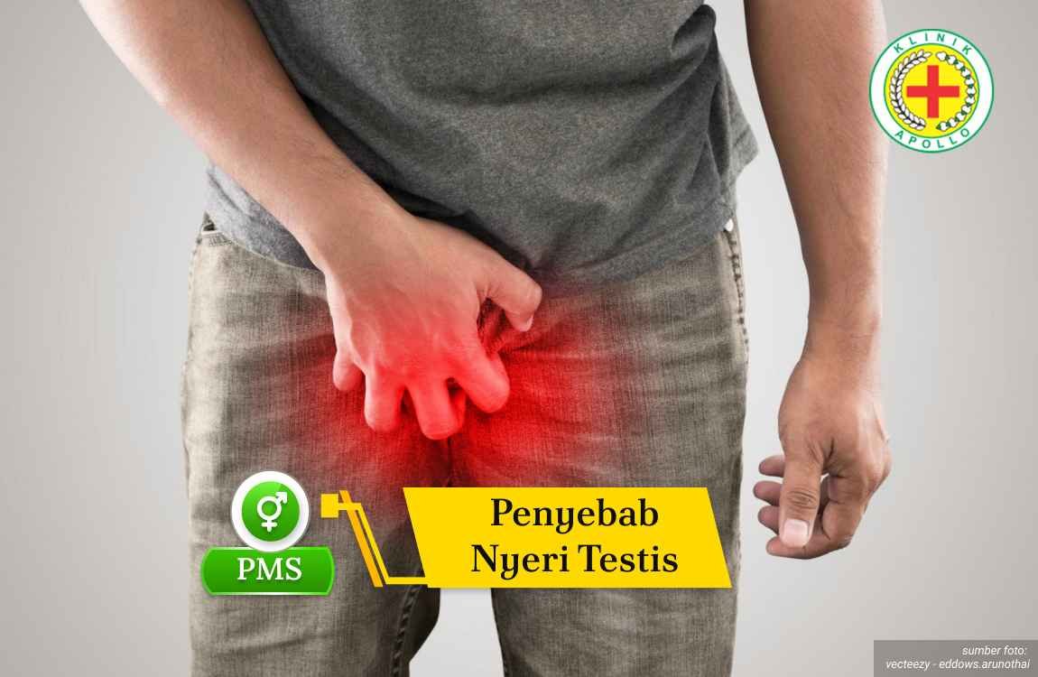Ilustrasi Penyebab Nyeri Testis.