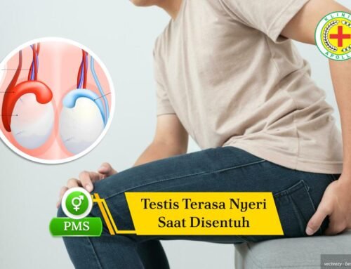 Testis Terasa Nyeri Saat Disentuh? Ini Beragam Penyebabnya