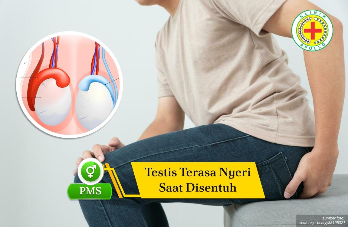 Ilustrasi Testis Terasa Nyeri Saat Disentuh.