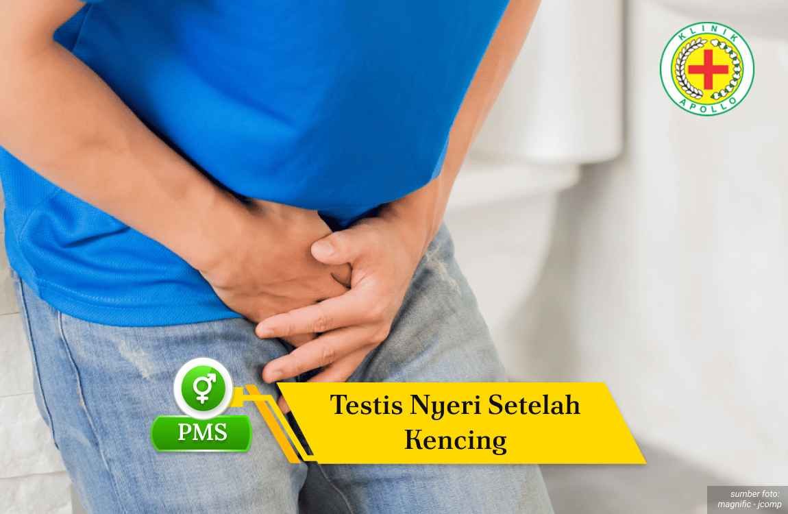 Testis Nyeri Setelah Kencing Ilustrasi Testis Nyeri Setelah Kencing.