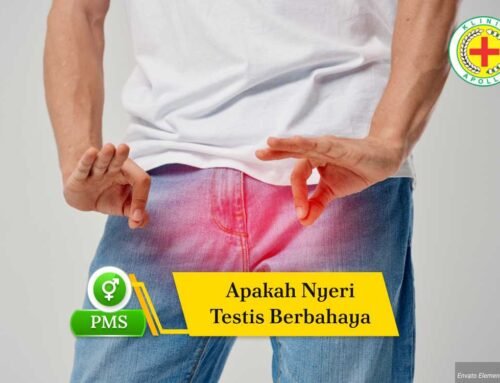 Apakah Nyeri Testis Berbahaya? Kenali Penyebab dan Tandanya