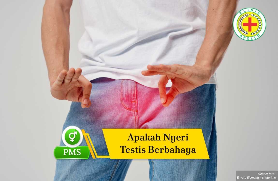 Ilustrasi Apakah Nyeri Testis Berbahaya.