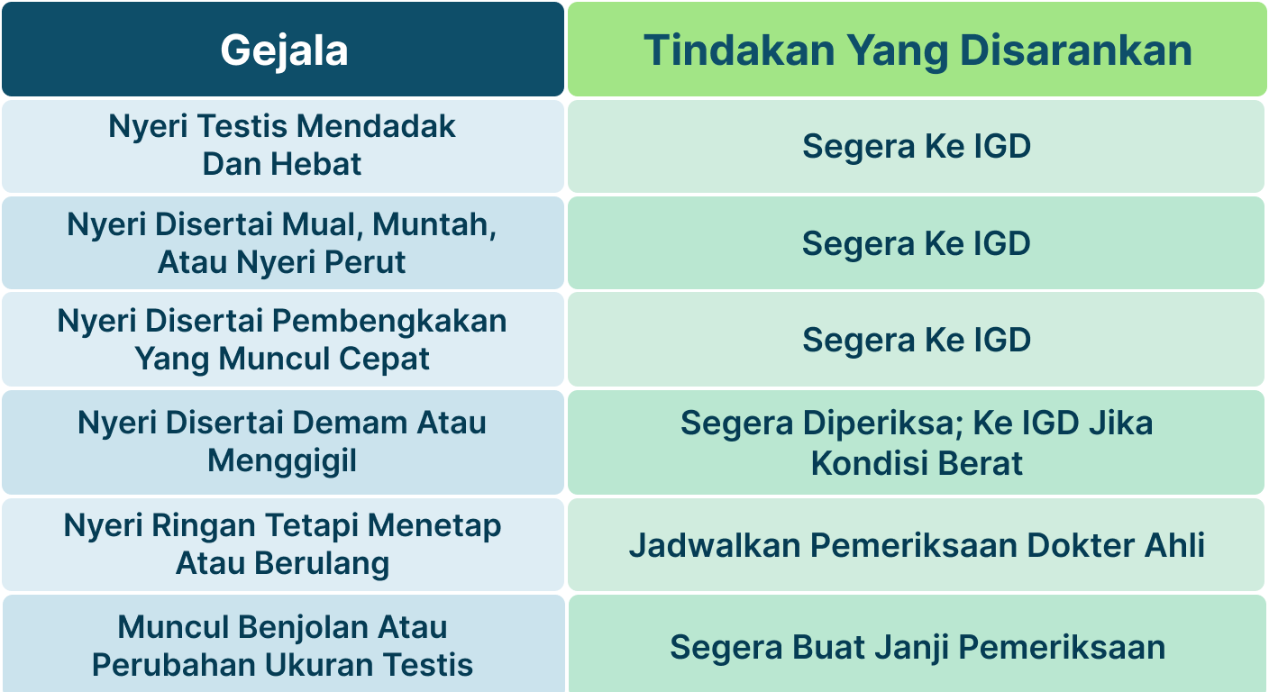 Ilustrasi Testis Nyeri Apakah Normal.