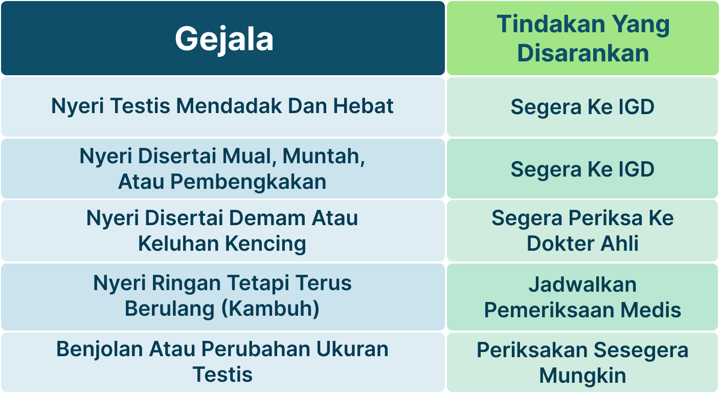 Ilustrasi Testis Nyeri Saat Malam Hari.