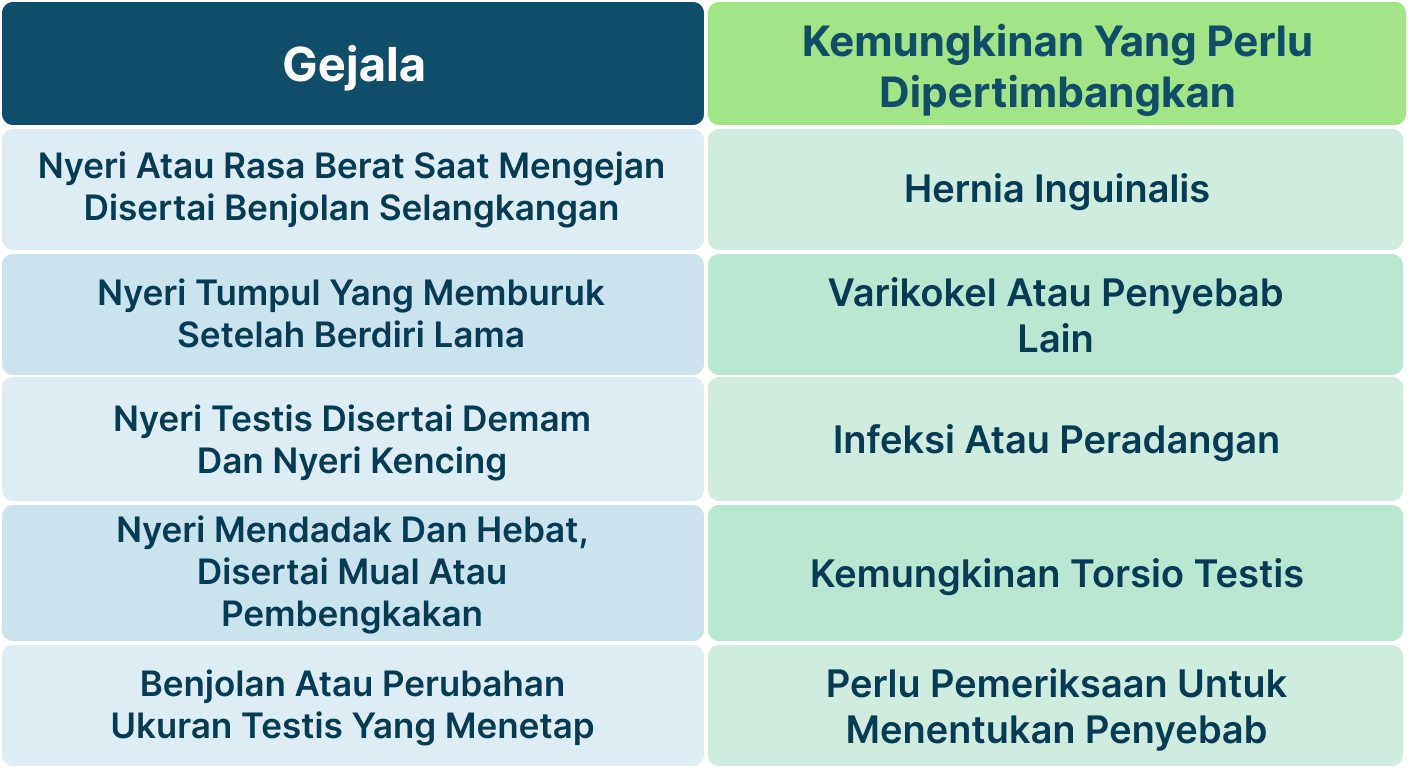 Ilustrasi Testis Nyeri Saat Ngeden.