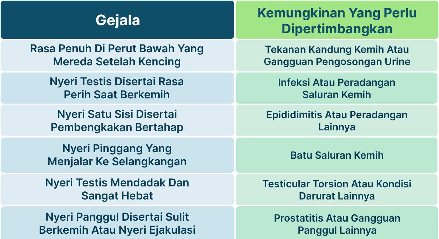 Ilustrasi Testis Nyeri Saat Kencing.