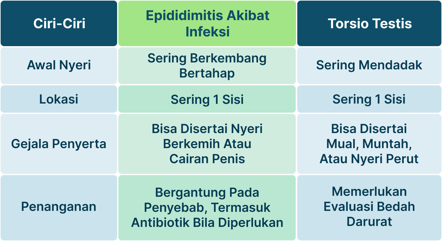 Ilustrasi Testis Sakit Karena Gonore.