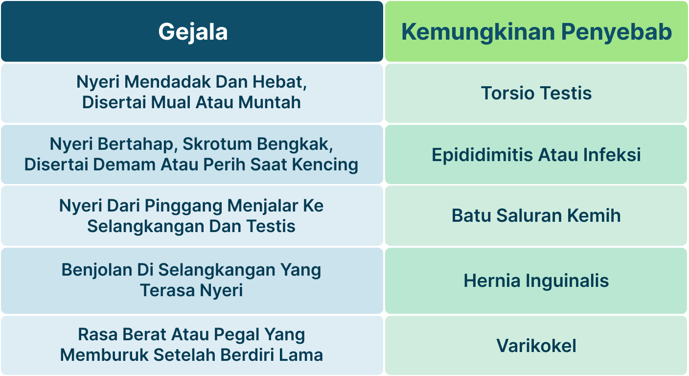 Ilustrasi Nyeri Testis Sebelah Kiri Sampai Perut.