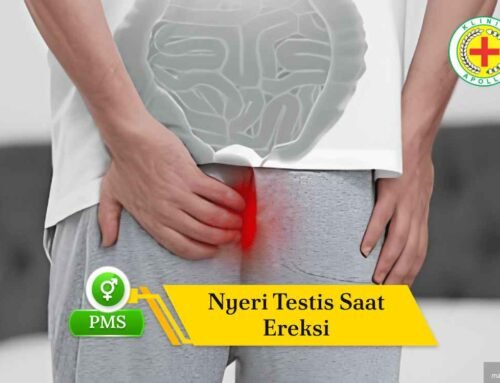 Penyebab Nyeri Testis Saat Ereksi yang Perlu Diwaspadai