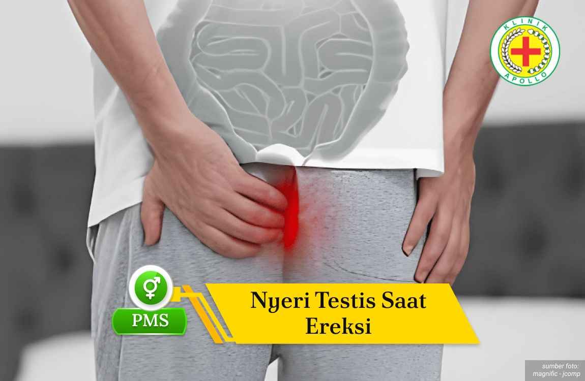Ilustrasi Nyeri Testis Saat Ereksi.