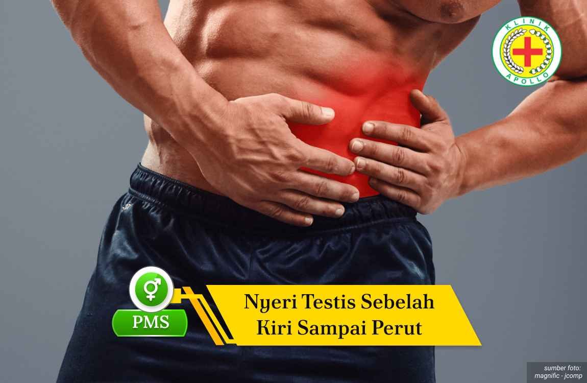 nyeri testis sebelah kiri sampai perut