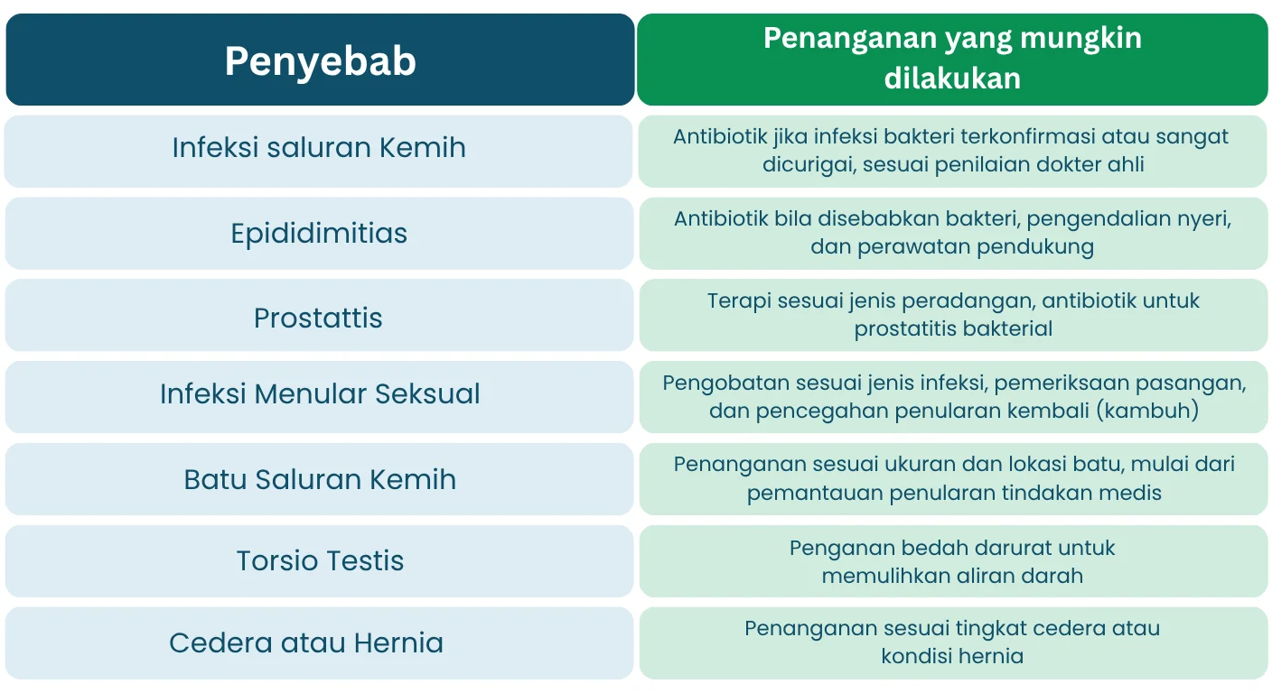 Penanganan Testis Nyeri Setelah Kencing