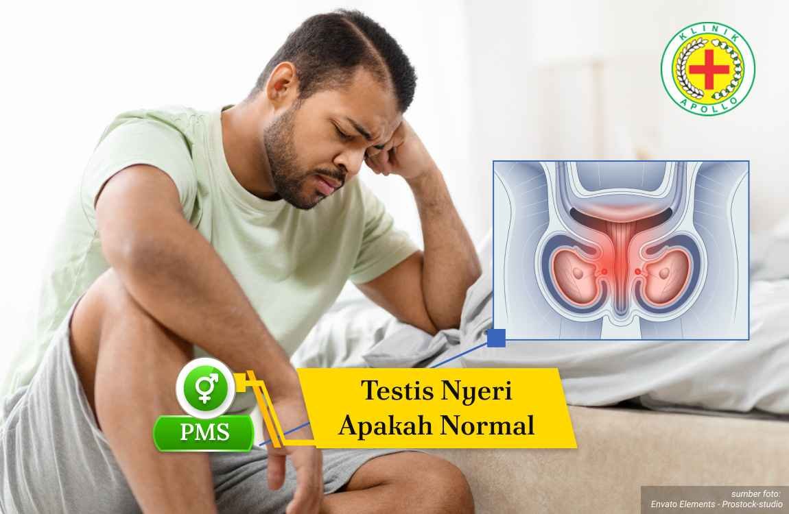 testis nyeri apakah normal