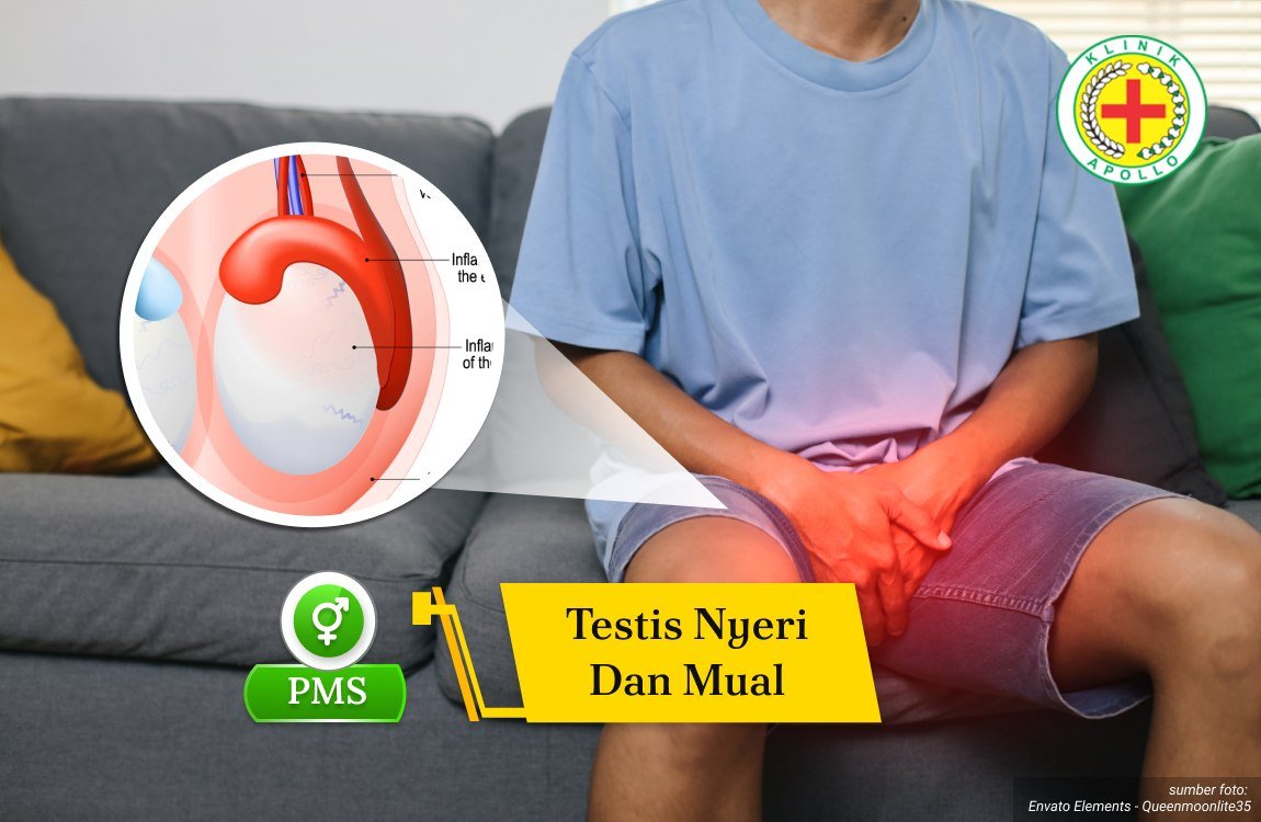 Ilustrasi Testis Nyeri dan Mual.