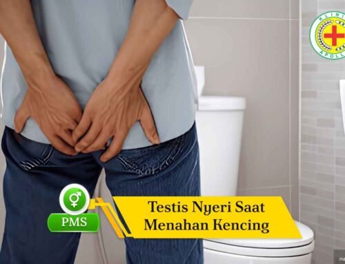 Kenapa Testis Nyeri Saat Menahan Kencing? Ini Faktanya