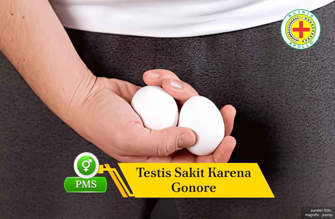 Ilustrasi Testis Sakit Karena Gonore.